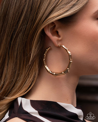 Tailored Tribute - Gold - Paparazzi Hoop Earrings