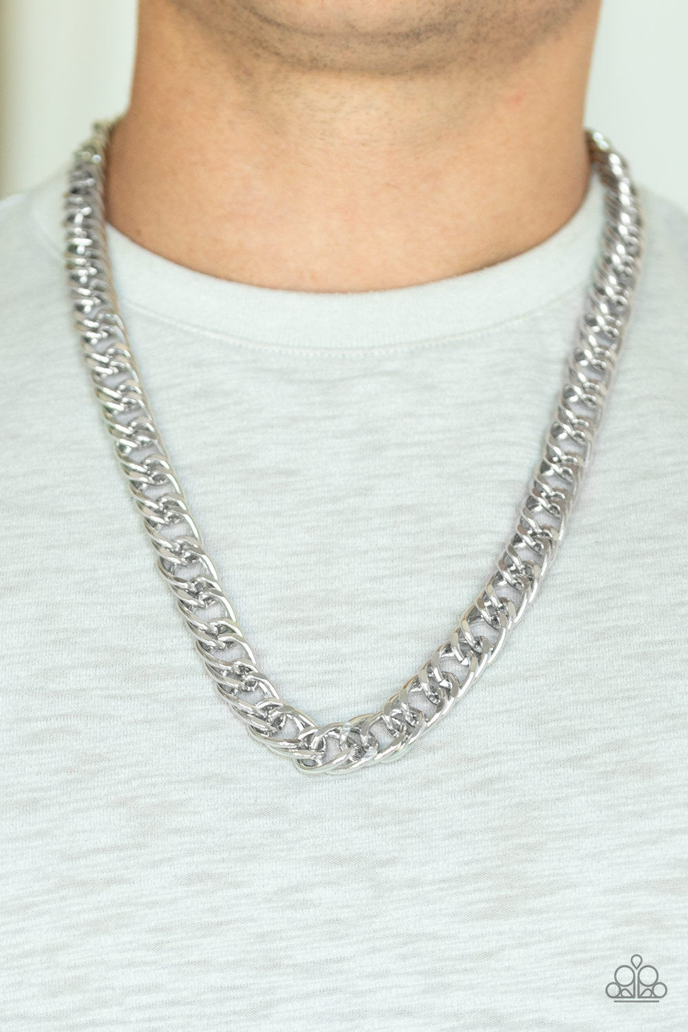 Omega - Silver - Paparazzi Necklace